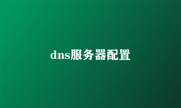 dns服务器配置