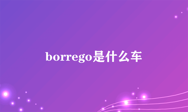 borrego是什么车