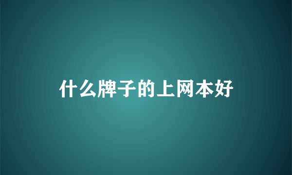 什么牌子的上网本好