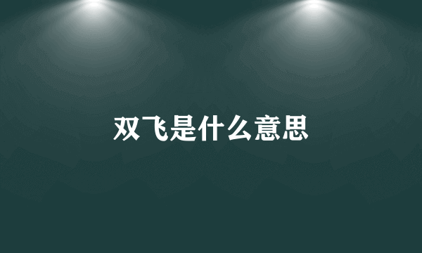 双飞是什么意思