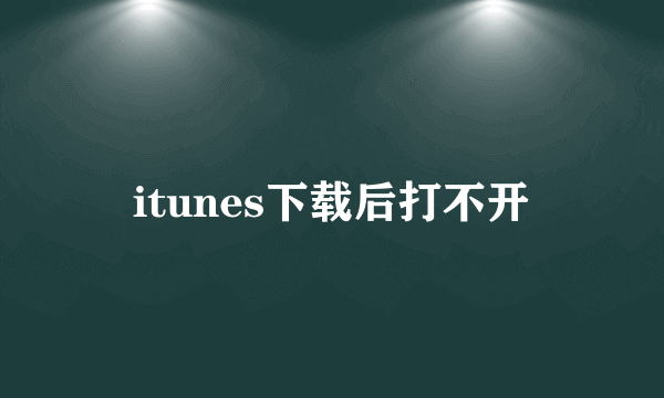 itunes下载后打不开