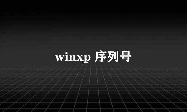 winxp 序列号