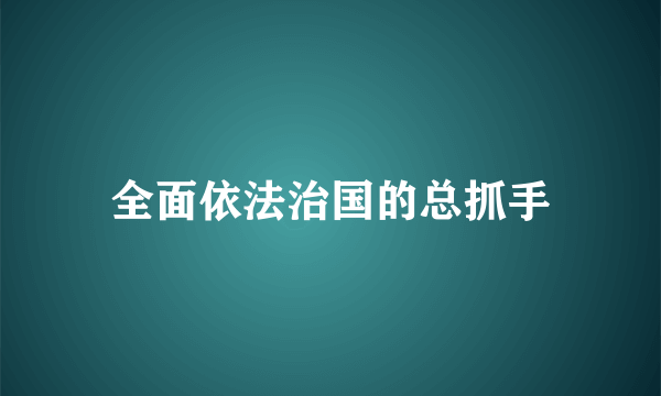 全面依法治国的总抓手