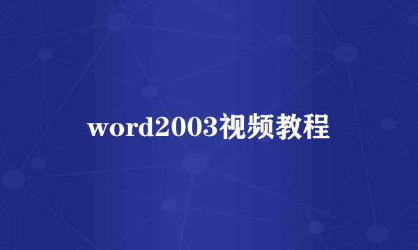 word2003视频教程