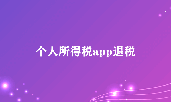 个人所得税app退税