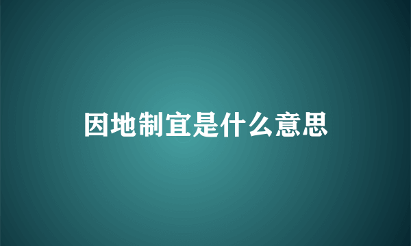 因地制宜是什么意思