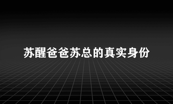 苏醒爸爸苏总的真实身份