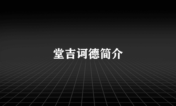 堂吉诃德简介