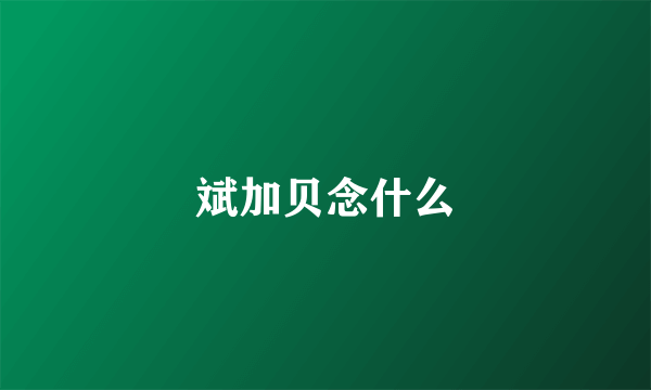 斌加贝念什么