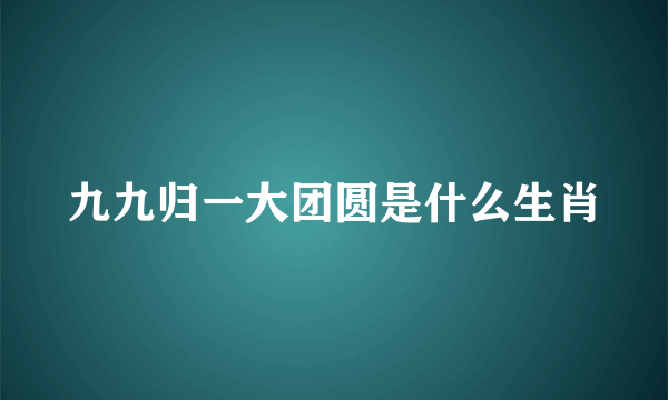 九九归一大团圆是什么生肖