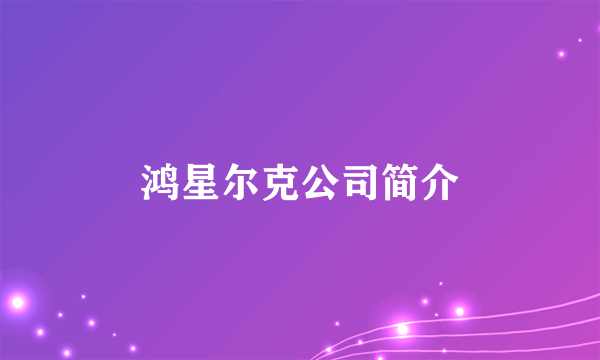 鸿星尔克公司简介