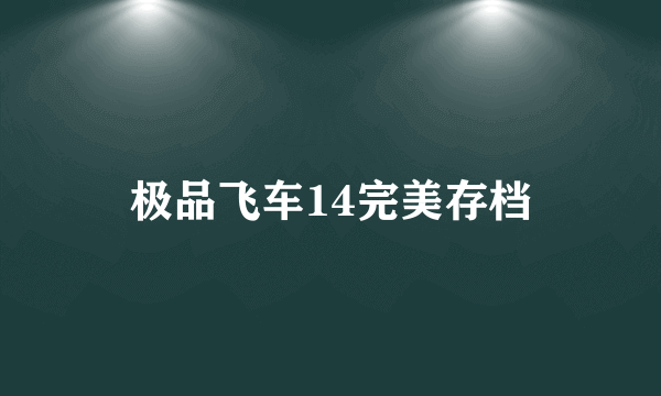 极品飞车14完美存档