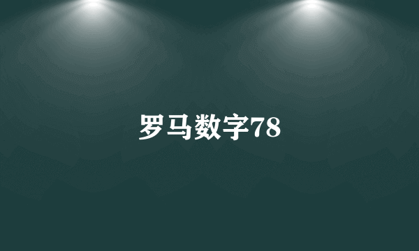 罗马数字78