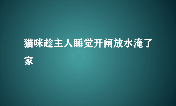 猫咪趁主人睡觉开闸放水淹了家