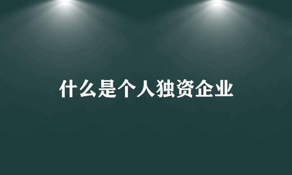 什么是个人独资企业