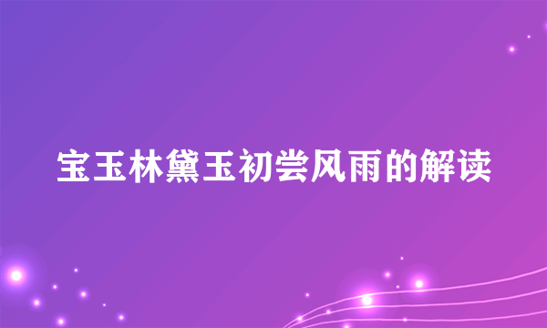 宝玉林黛玉初尝风雨的解读