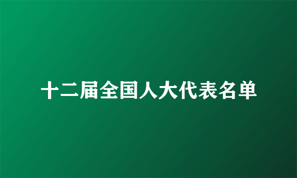 十二届全国人大代表名单