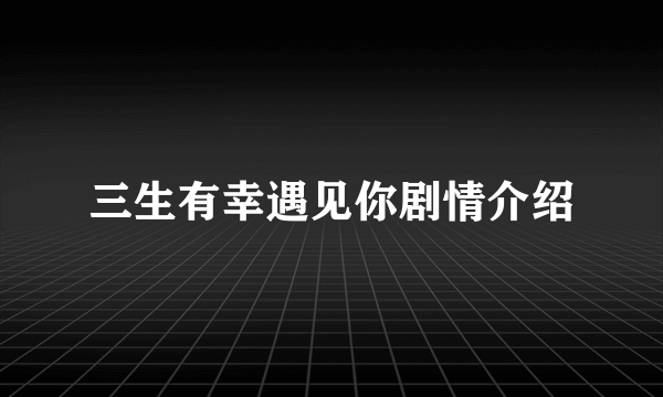 三生有幸遇见你剧情介绍