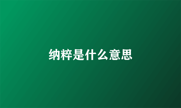 纳粹是什么意思