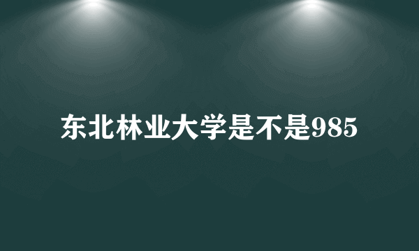 东北林业大学是不是985