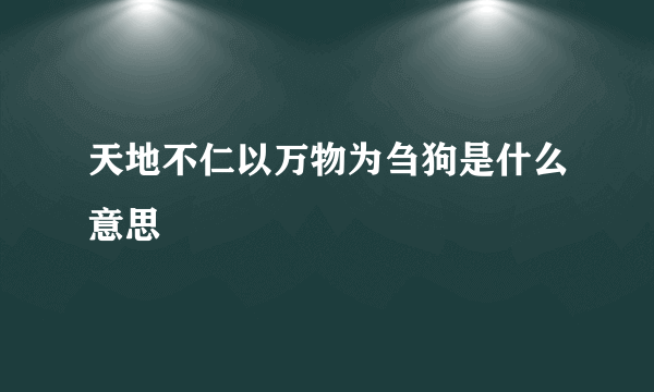 天地不仁以万物为刍狗是什么意思