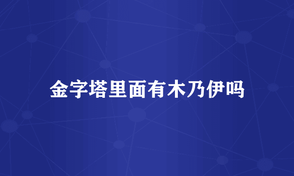 金字塔里面有木乃伊吗