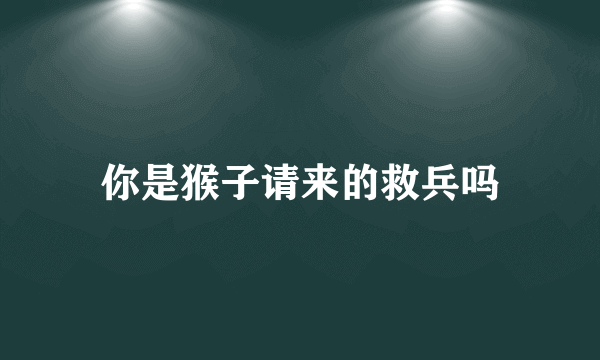 你是猴子请来的救兵吗