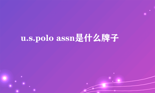 u.s.polo assn是什么牌子