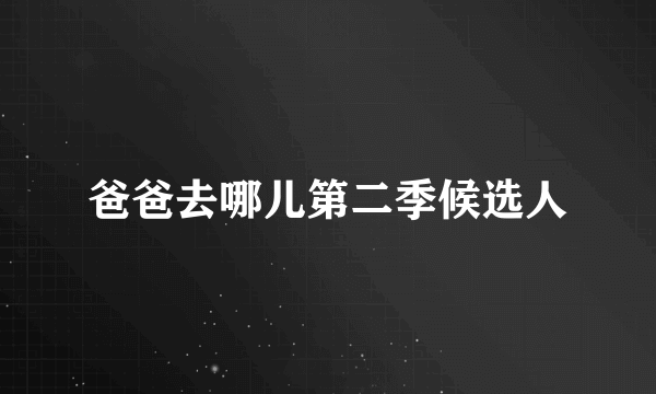 爸爸去哪儿第二季候选人