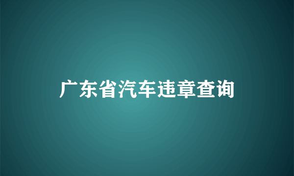 广东省汽车违章查询