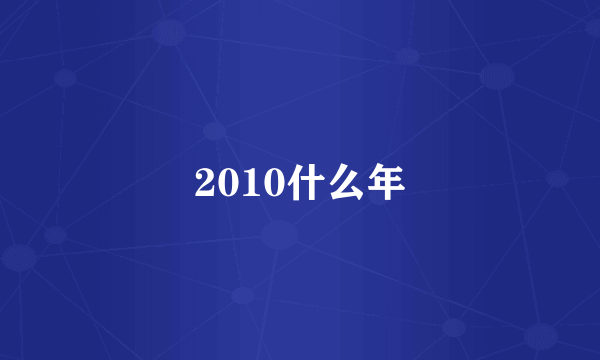 2010什么年