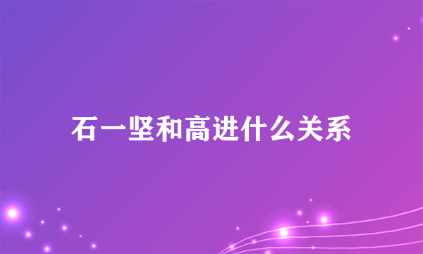 石一坚和高进什么关系