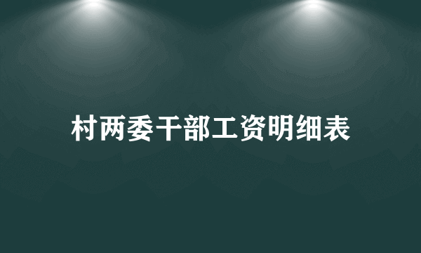 村两委干部工资明细表