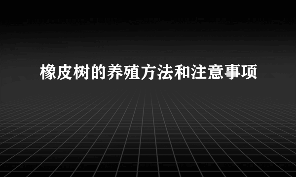 橡皮树的养殖方法和注意事项