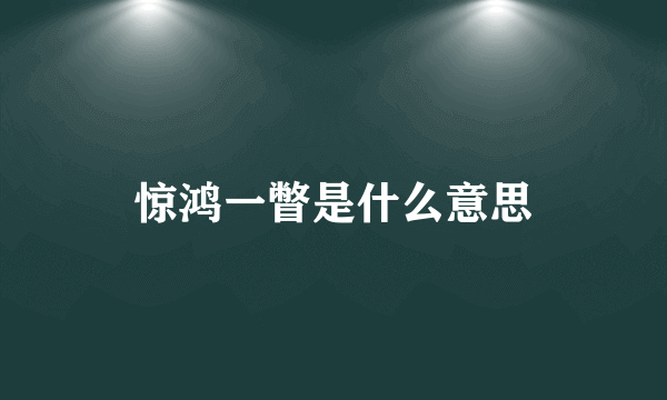 惊鸿一瞥是什么意思