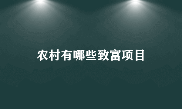 农村有哪些致富项目