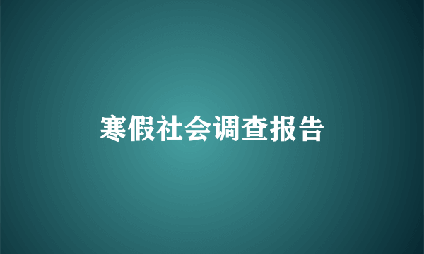 寒假社会调查报告