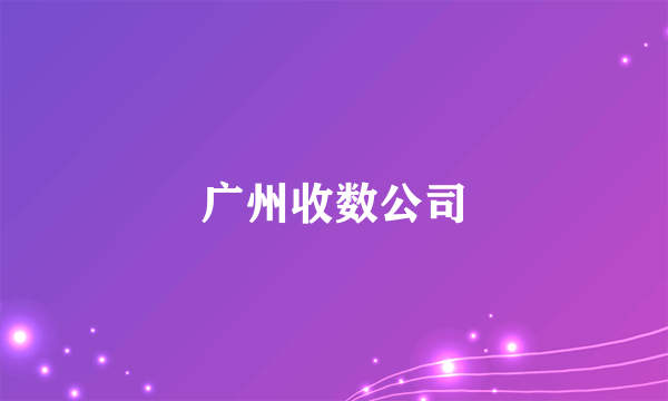 广州收数公司