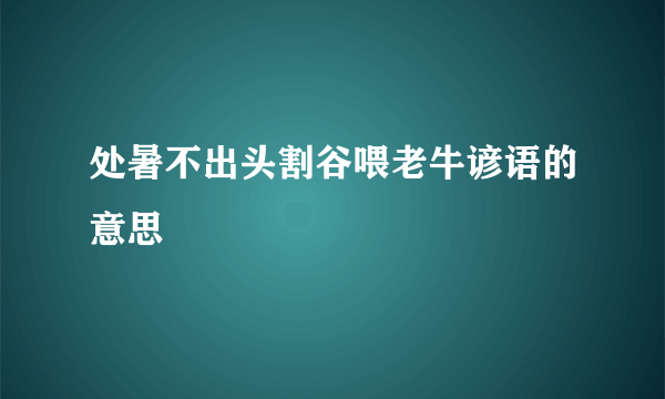 处暑不出头割谷喂老牛谚语的意思