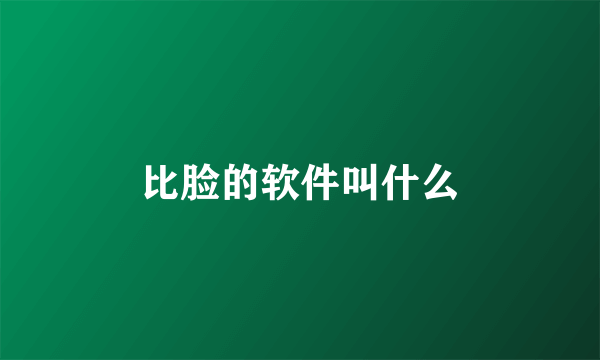 比脸的软件叫什么