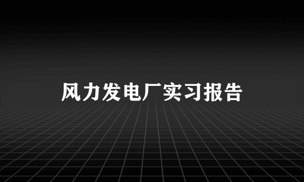 风力发电厂实习报告