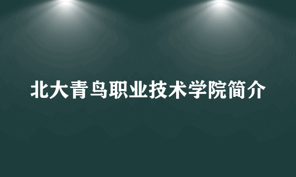 北大青鸟职业技术学院简介