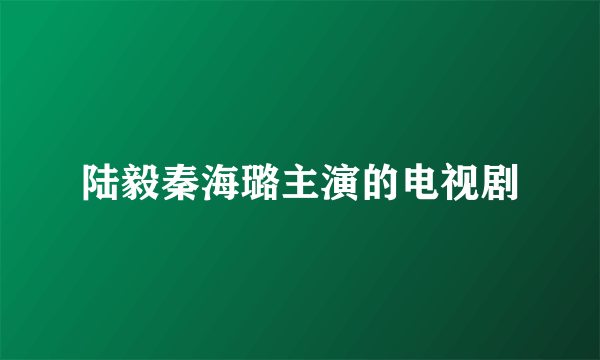 陆毅秦海璐主演的电视剧