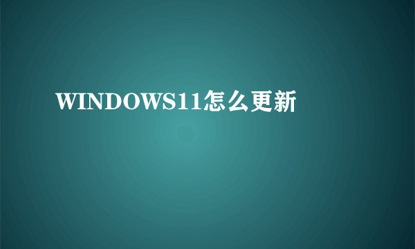 WINDOWS11怎么更新