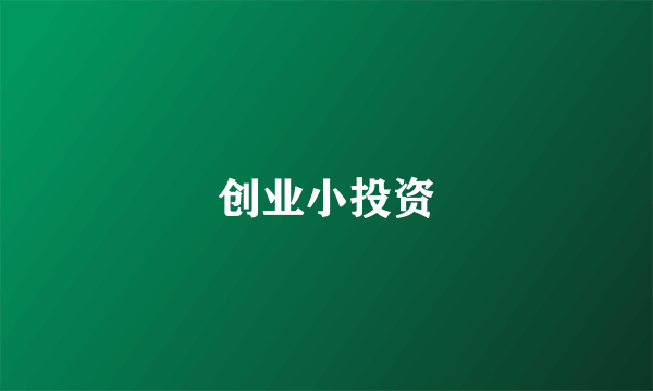 创业小投资