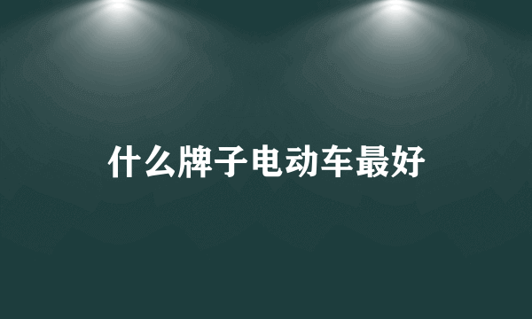 什么牌子电动车最好