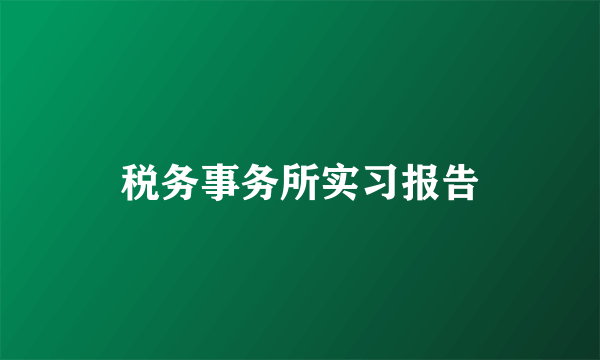 税务事务所实习报告