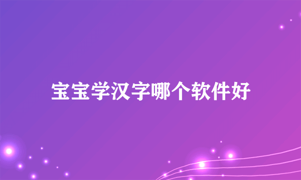 宝宝学汉字哪个软件好