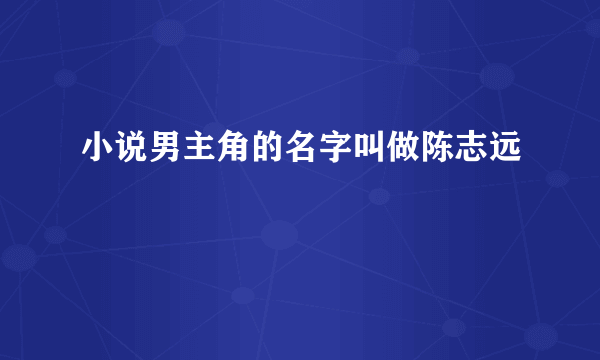 小说男主角的名字叫做陈志远