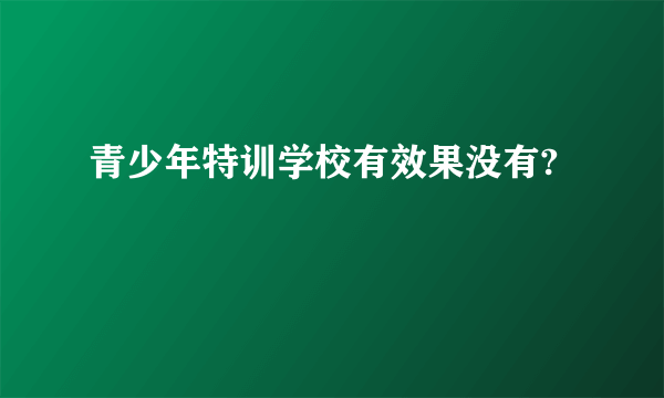 青少年特训学校有效果没有?